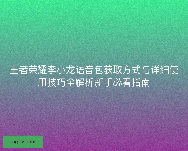 王者荣耀李小龙语音包获取方式与详细使用技巧全解析新手必看指南
