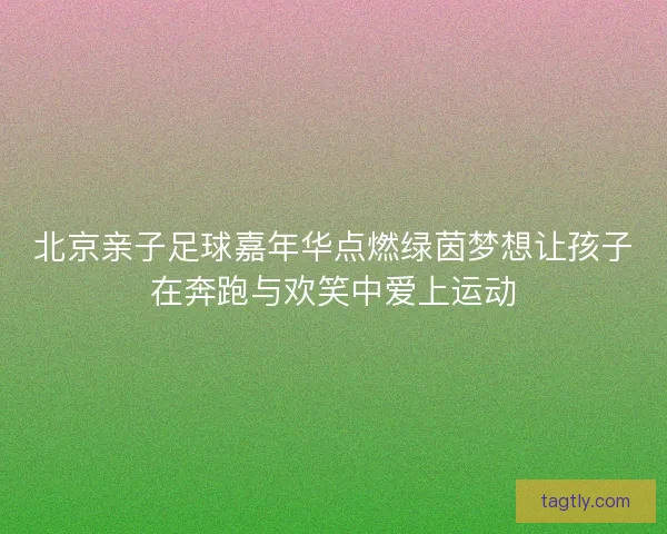 北京亲子足球嘉年华点燃绿茵梦想让孩子在奔跑与欢笑中爱上运动