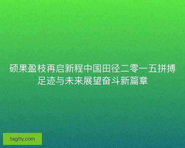 硕果盈枝再启新程中国田径二零一五拼搏足迹与未来展望奋斗新篇章